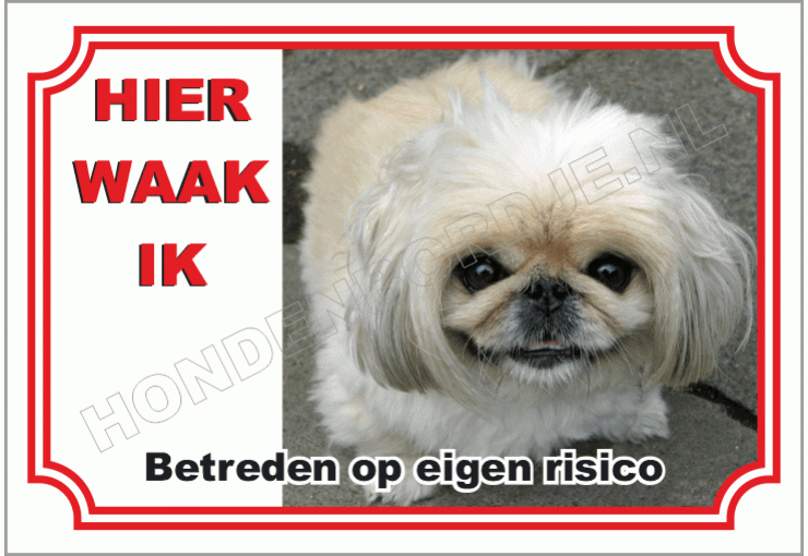 Pekinees