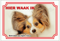 Papillon