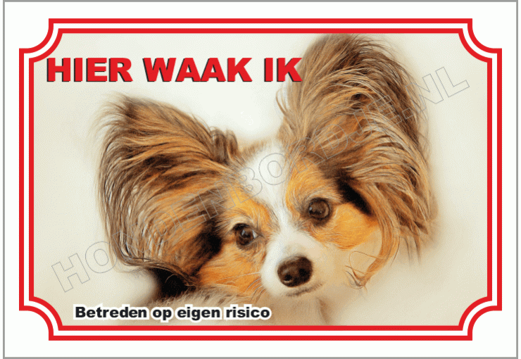 Papillon