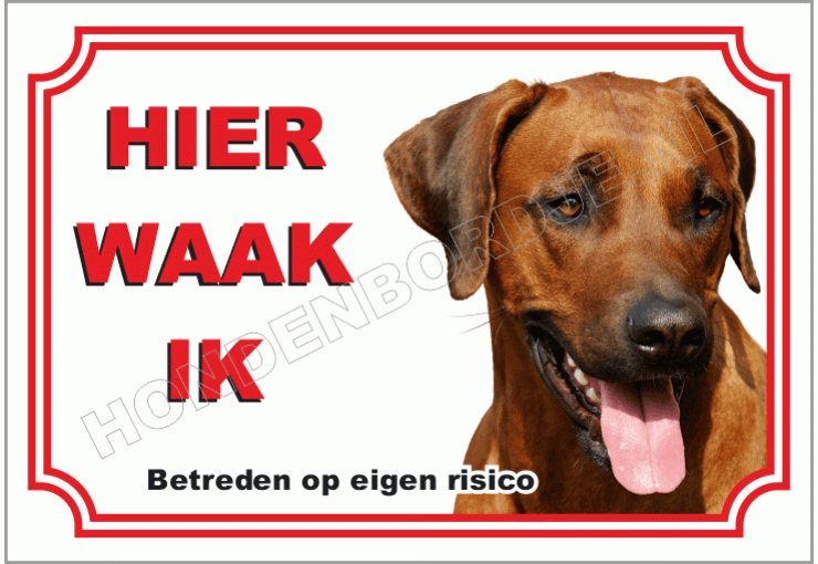 Rhodesian Ridgeback