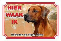 Rhodesian Ridgeback