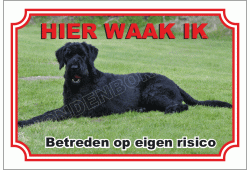 Riesenschnauzer, Zwart