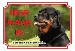 Rottweiler