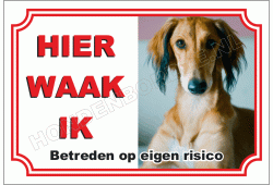 Saluki