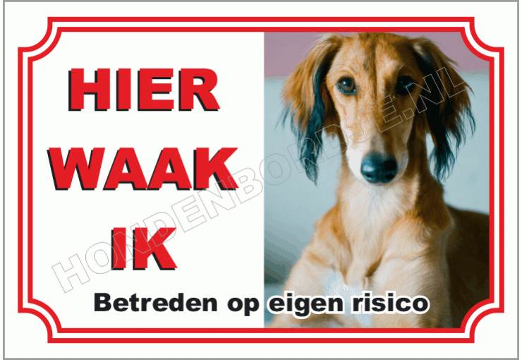 Saluki