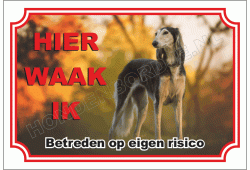 Saluki