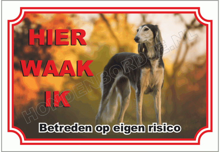 Saluki
