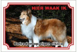 Schotse Herdershond Langhaar