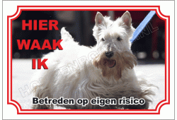 Schotse Terrier Wit