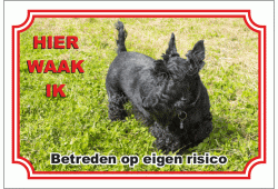 Schotse Terrier Zwart