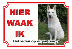 Zwitserse Witte Herdershond