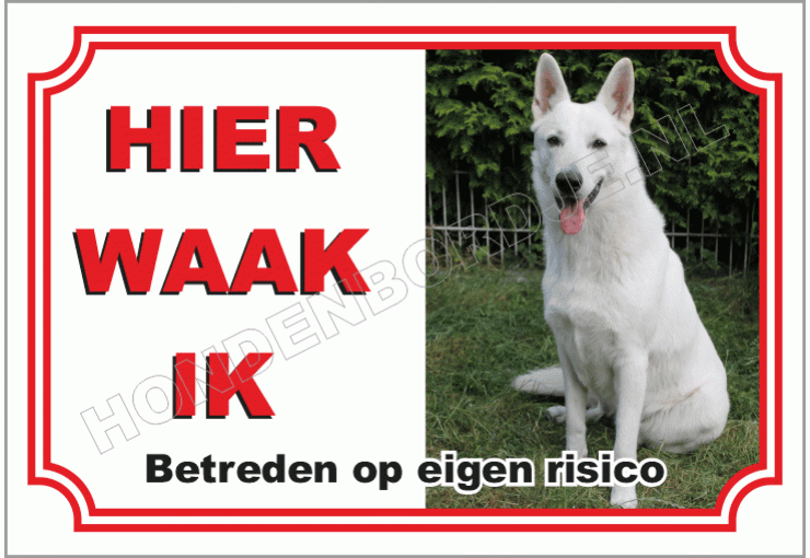 Zwitserse Witte Herdershond