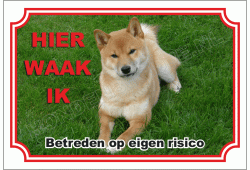Shiba
