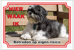 Shih Tzu
