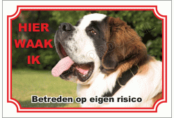 Sint Bernard, Langhaar