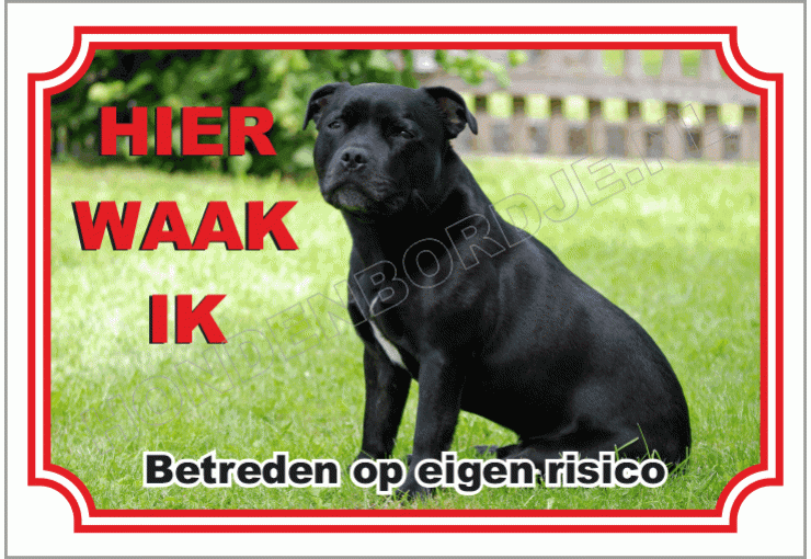 Staffordshire Bull Terrier Zwart