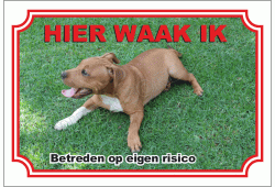 Staffordshire Bull Terrier