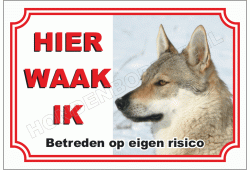 Tsjechoslowaakse Wolfhond