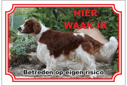 Welsh Springer Spaniel