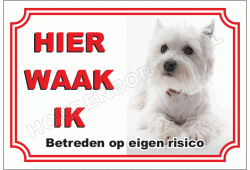 West Highland White Terrier