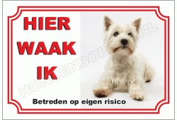 West Highland White Terrier