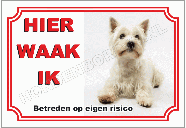 West Highland White Terrier