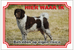 Wetterhoun