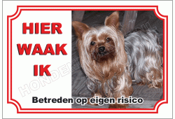 Yorkshire Terrier