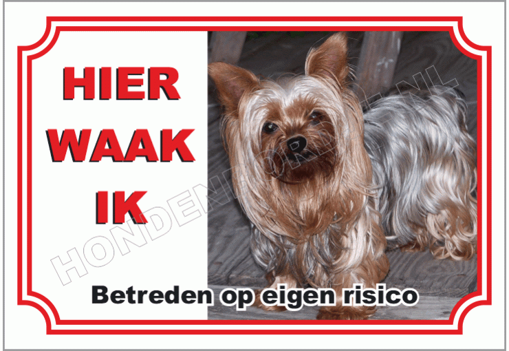 Yorkshire Terrier