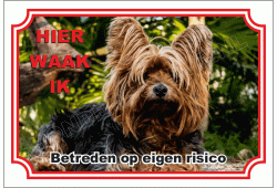 Yorkshire Terrier