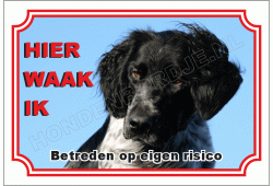 Grote munsterlander zwart wit