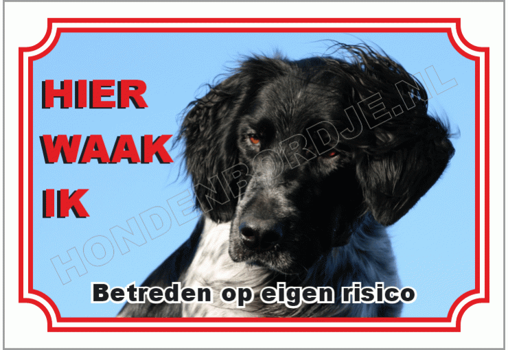 Grote munsterlander zwart wit