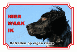 Grote munsterlander zwart