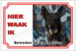 Australian Kelpie