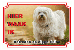 Havenezer wit