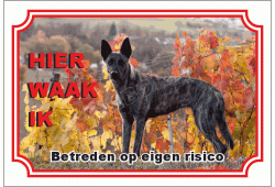 Hollandse herder korthaar