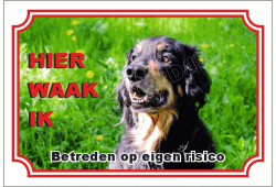 Hovawart
