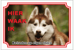 Husky