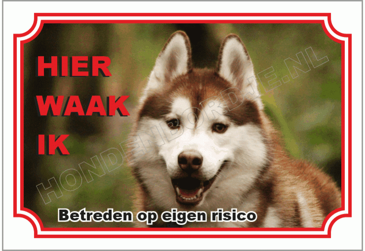 Husky