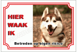 Husky