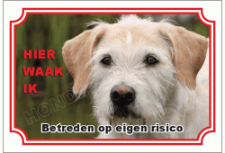 Ierse  wolfshond