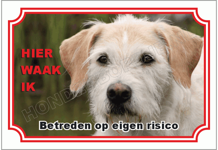 Ierse  wolfshond