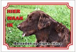 Ierse setter