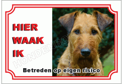 Ierse terrier