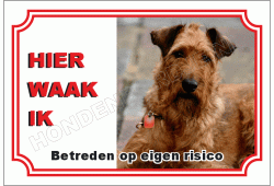 Ierse terrier