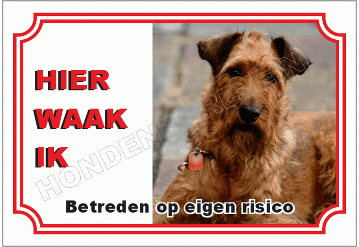 Ierse terrier