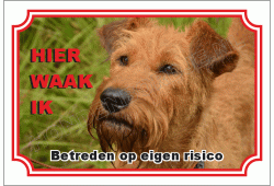 Ierse terrier