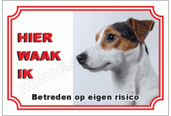 Jack russell terrier
