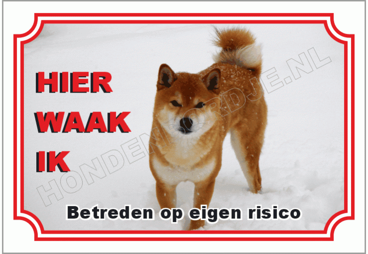 Japanse spits