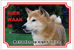 Japanse spits